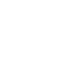 Tagliandi-e-revisioni